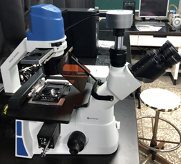 倒立式螢光顯微鏡1